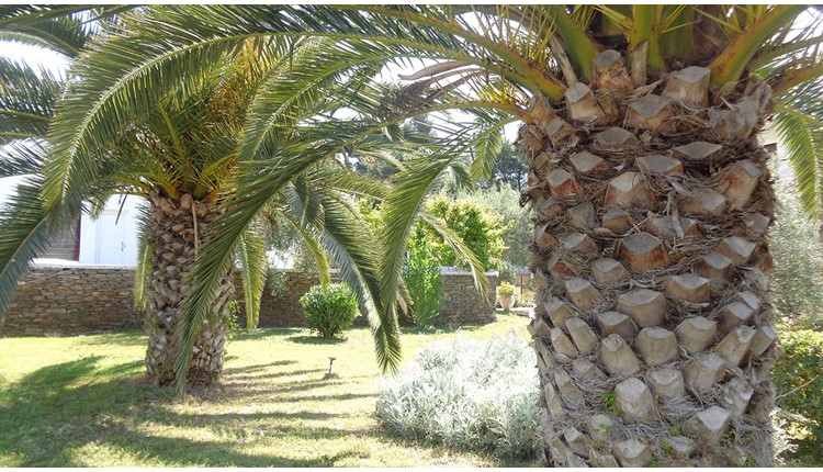 Porto Matina Hotel, Халкидики